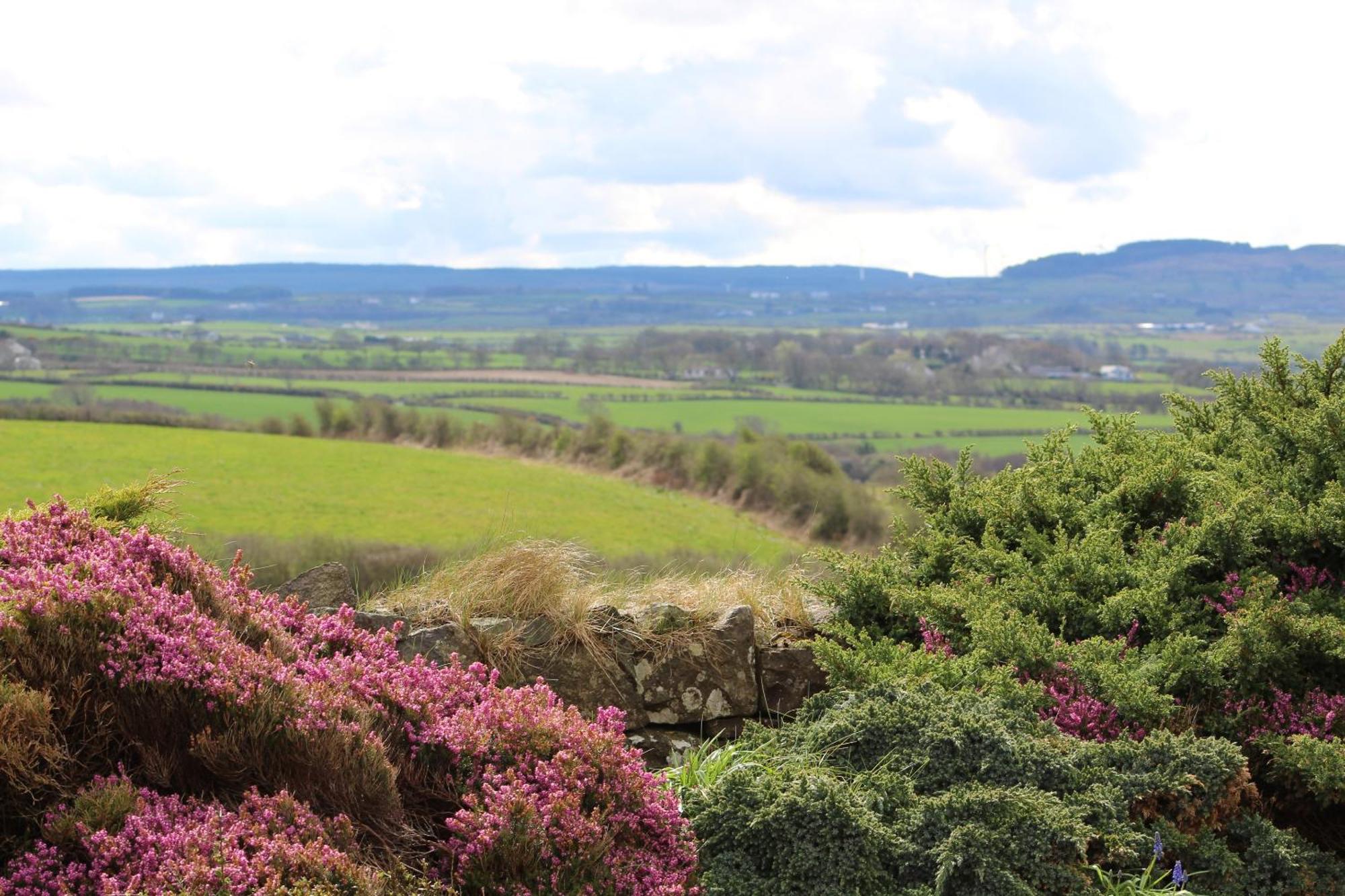 Carnalbanagh House Bed and Breakfast Portstewart Eksteriør billede